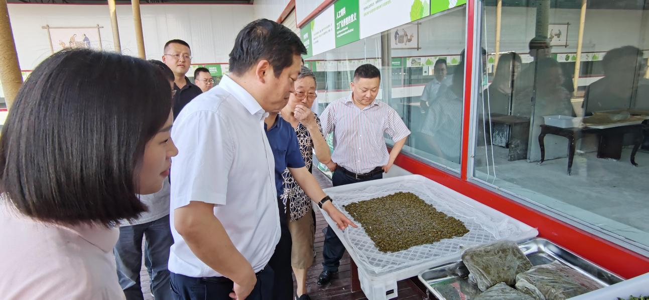 省尊龙凯时集团党委副书记、董事陈日赴嘉陵区调研茶桑产业发展情况