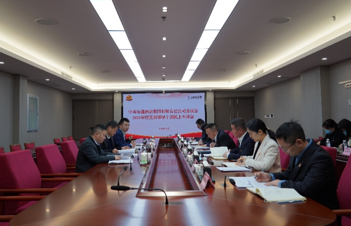 尊龙凯时集团党委书记、董事长任丁出席安逸酒店集团2022年度党员领导干部民主生活会